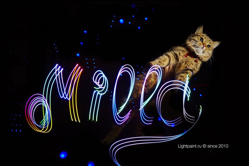 Lightpainting Turbo Cat Milla